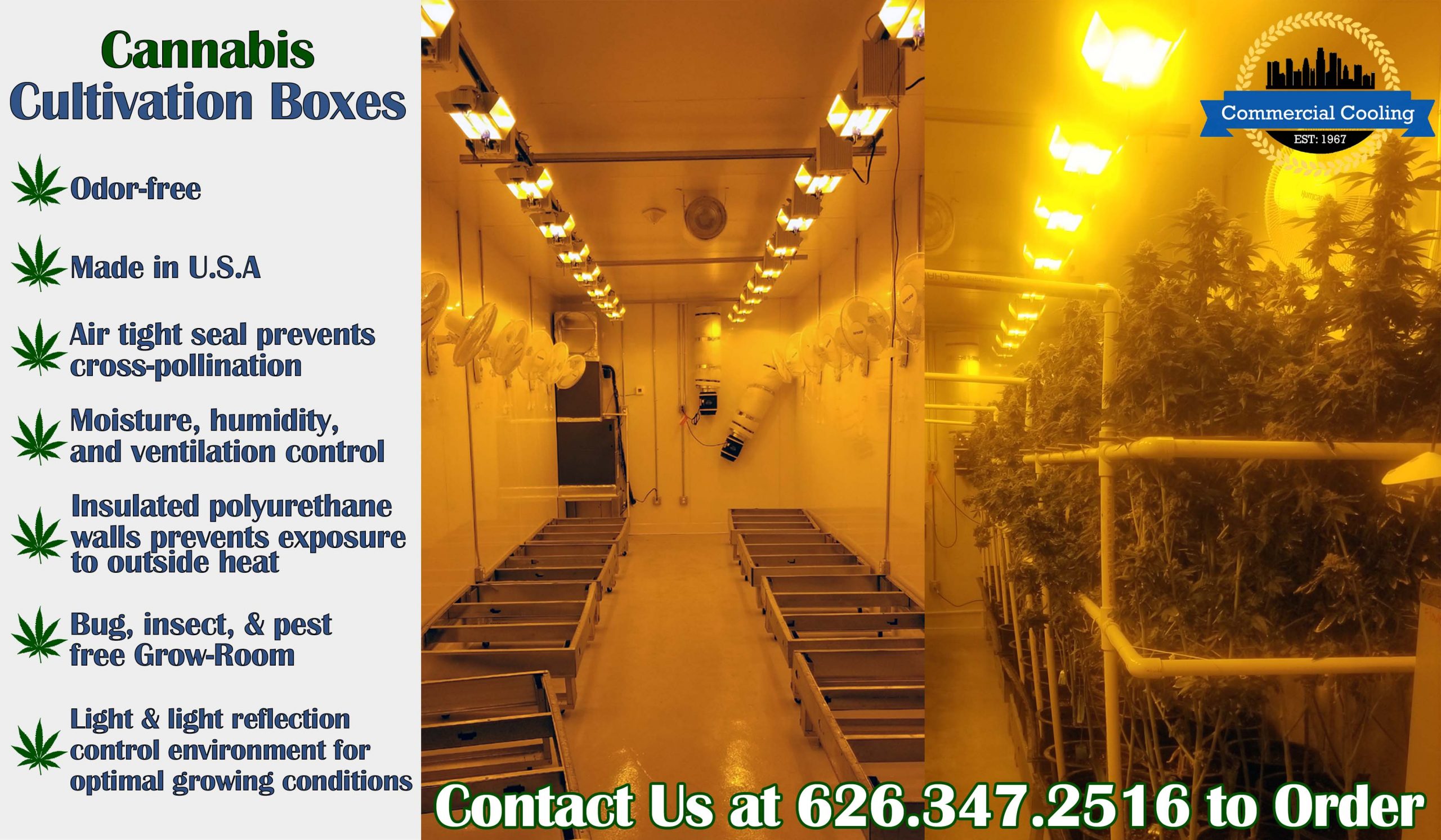 Cannabis Cultivation Flyer